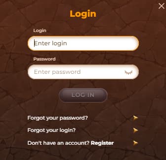 Login Process