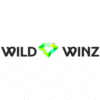 WildWinz Casino