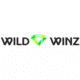WildWinz Casino